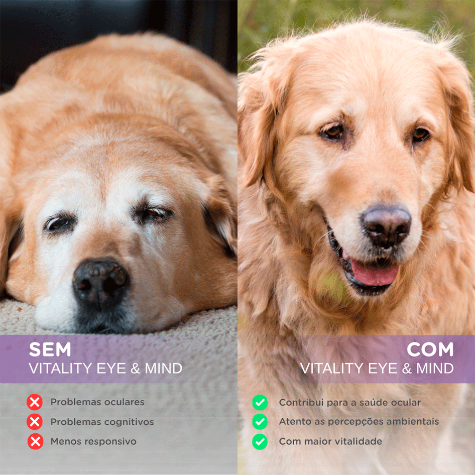 Suplemento Alimentar Soft Care Nutri Vitality Eye & Mind para Cães e Gatos - 30 Cápsulas