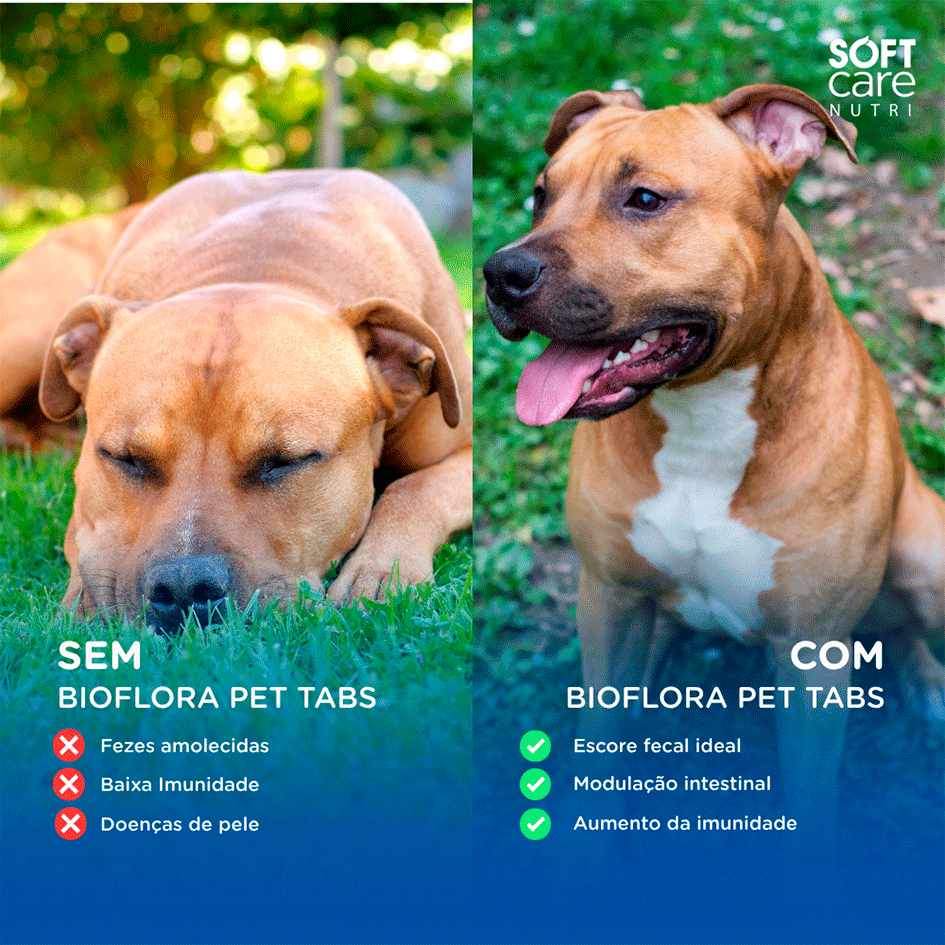 Suplemento Alimentar Soft Care Nutri Bioflora Pet Tab - 30 Tabletes