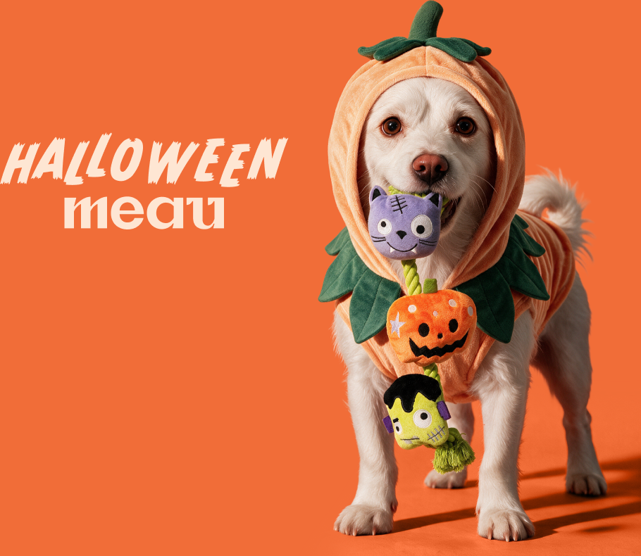Fantasia Meau Halloween Abóbora - Tam. GG