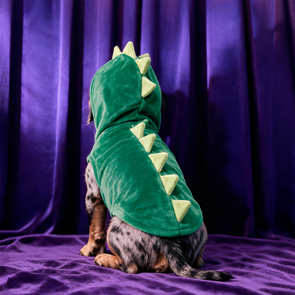 Fantasia Meau Halloween Dinossauro - Tam. G
