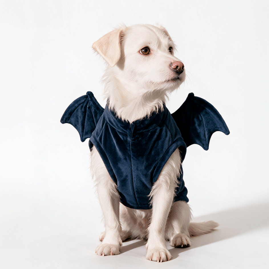 Fantasia Meau Halloween Morcego - Tam. GG