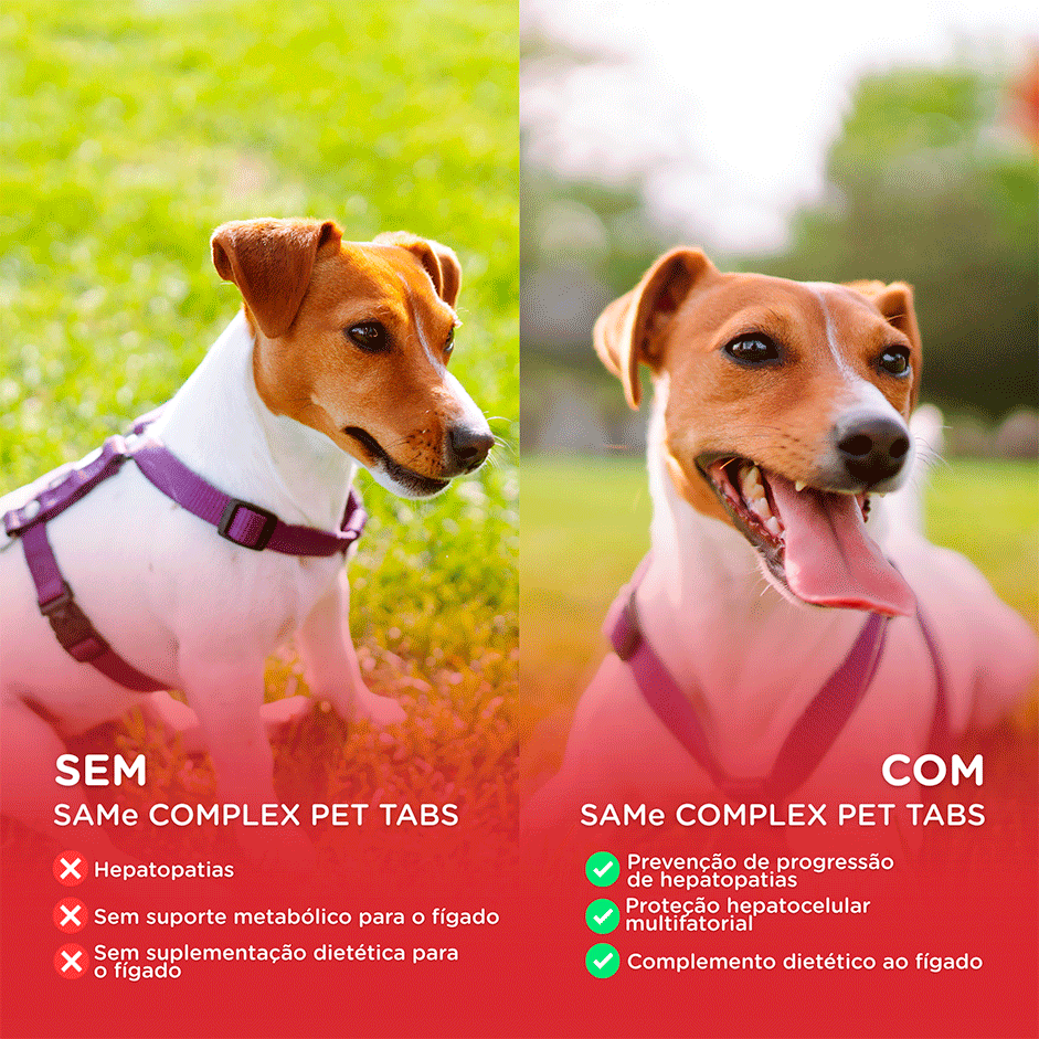 Suplemento Alimentar Soft Care Nutri SAMe Complex Pet Tabs para Cães e Gatos - 30 Tabletes