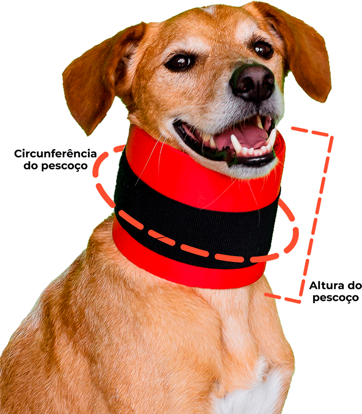 Colar Cervical Pet Designer Vermelho para Cães - Tam. 02
