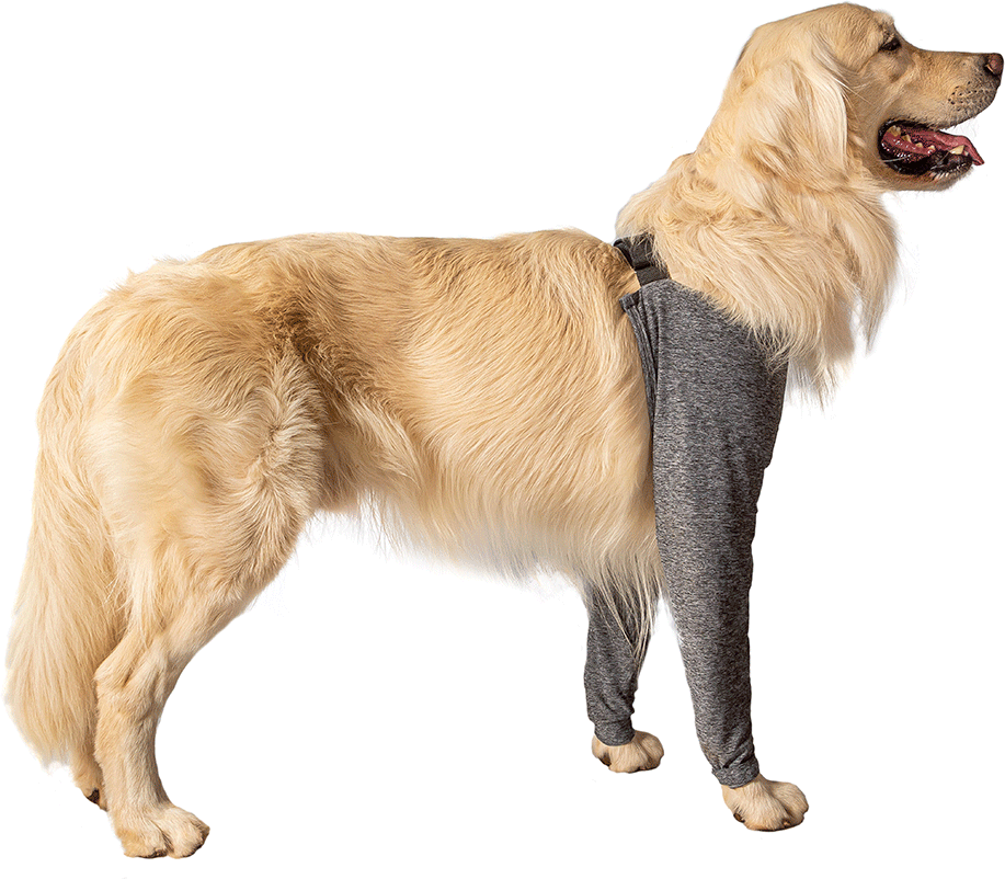Protetor Membros Anteriores Pet Designer Cinza para Cães - Tam. 03