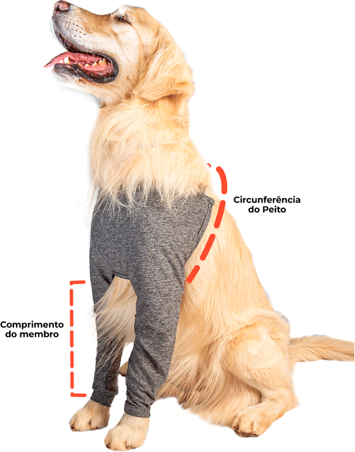 Protetor Membros Anteriores Pet Designer Cinza para Cães - Tam. 03