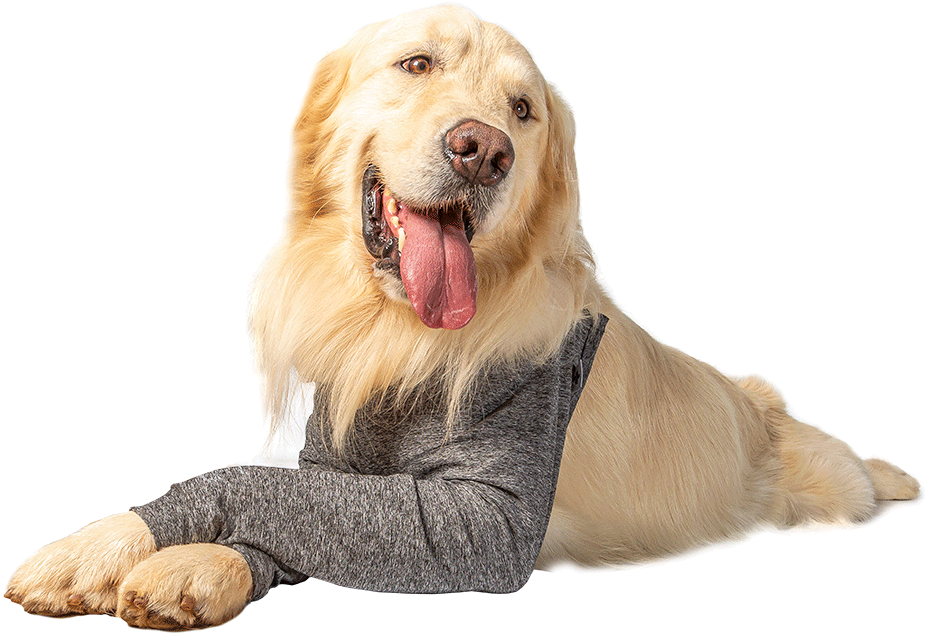 Protetor Membros Anteriores Pet Designer Cinza para Cães - Tam. 03