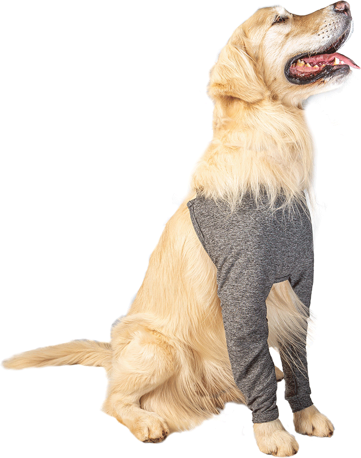 Protetor Membros Anteriores Pet Designer Cinza para Cães - Tam. 03