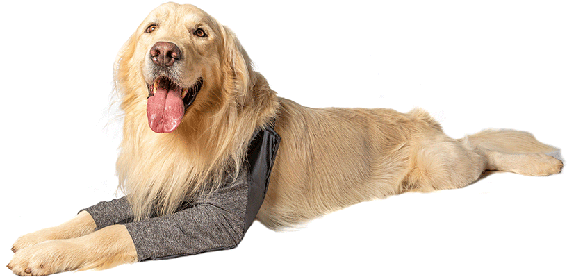 Protetor para cotovelos Higroma Pet Designer Cinza para Cães - Tam. 09