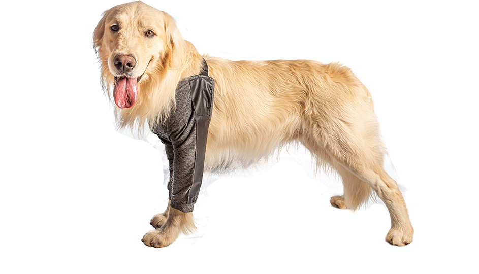 Protetor para cotovelos Higroma Pet Designer Cinza para Cães - Tam. 09