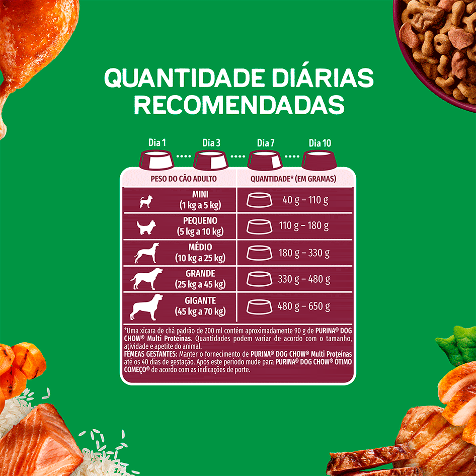 Ração Seca Purina Dog Chow Multiproteína para Cães Adultos sabor Carne, Frango, Salmão, Porco e Peru - 900 g