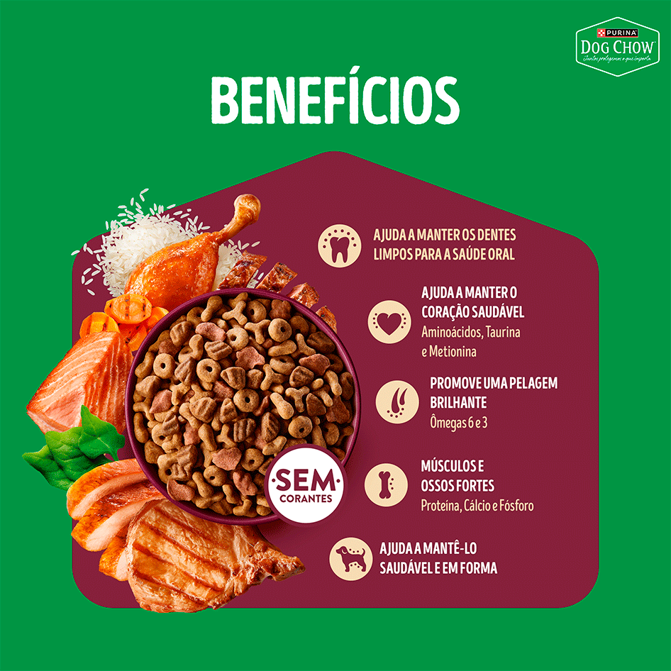 Ração Seca Purina Dog Chow Multiproteína para Cães Adultos sabor Carne, Frango, Salmão, Porco e Peru - 900 g
