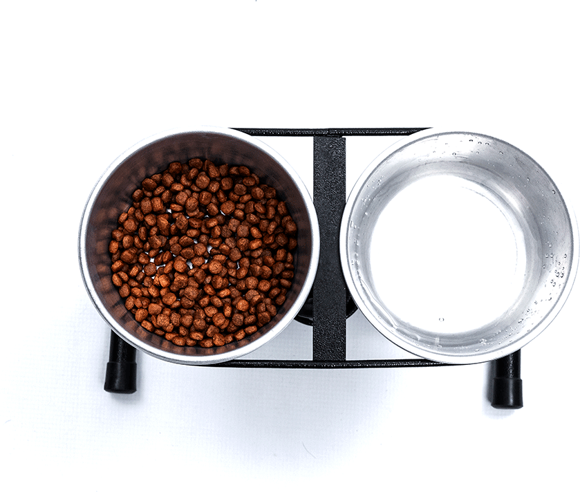 Comedouro Meau Duplo Antiformiga Grande - 5 L