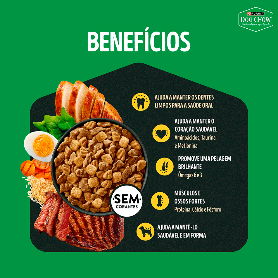 Ração Seca Purina Dog Chow Alta Proteína para Cães Adultos Todas as Raças sabor Carne, Frango e Ovo - 900 g