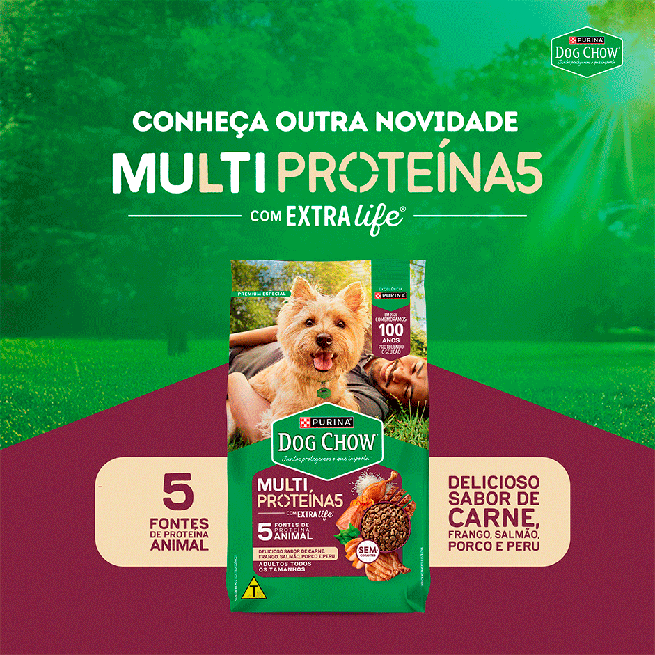 Ração Seca Purina Dog Chow Alta Proteína para Cães Adultos Todas as Raças sabor Carne, Frango e Ovo - 900 g