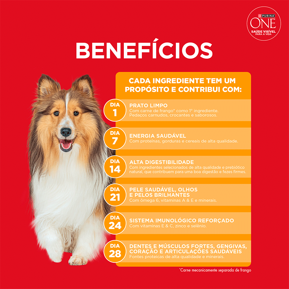 Ração Seca Purina One Microbioma Equilibrado para Cães Adultos Raças Média e Grande sabor Frango - 2,5Kg