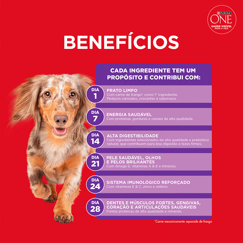 Ração Seca Purina One Microbioma Equilibrado para Cães Adultos Raças Mini e Pequena sabor Frango - 2,5Kg