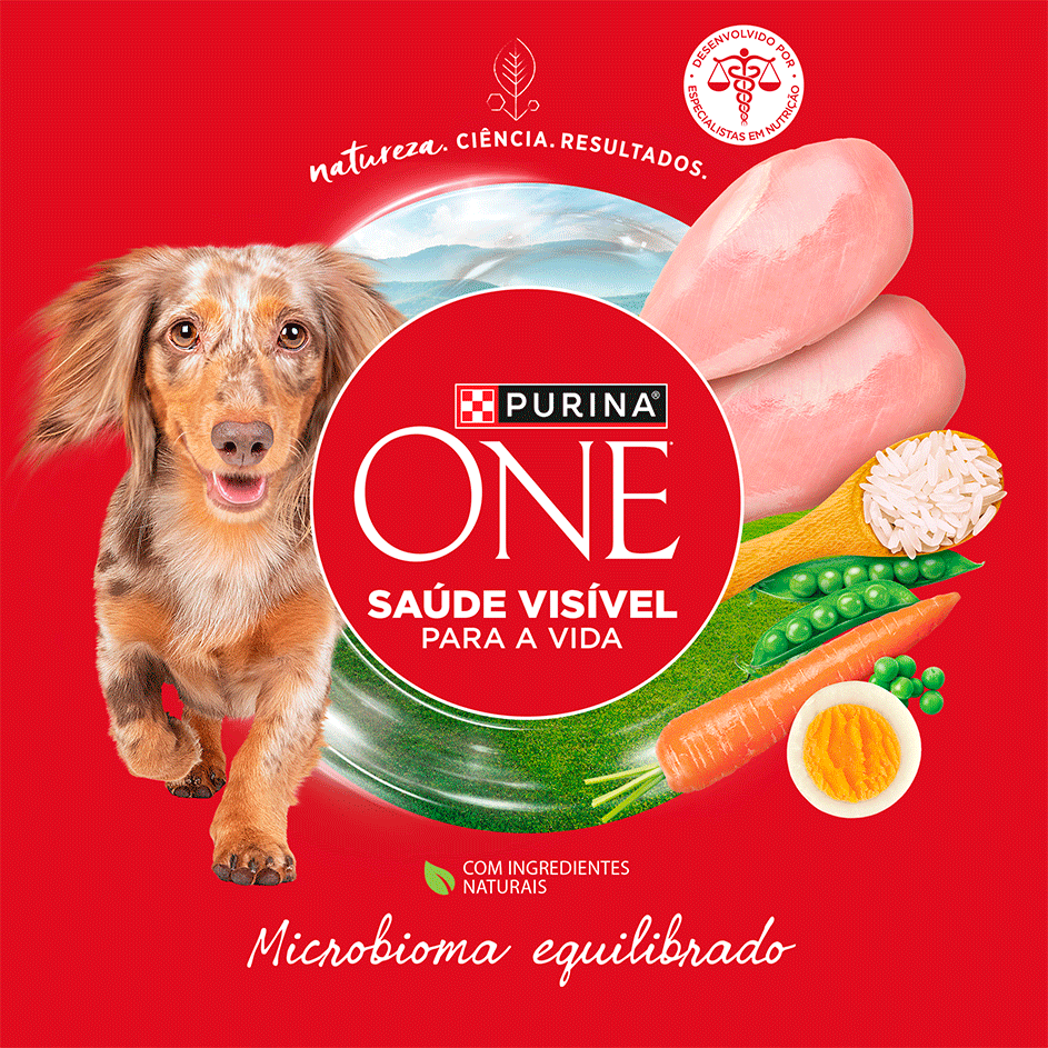 Ração Seca Purina One Microbioma Equilibrado para Cães Adultos Raças Mini e Pequena sabor Frango - 2,5Kg
