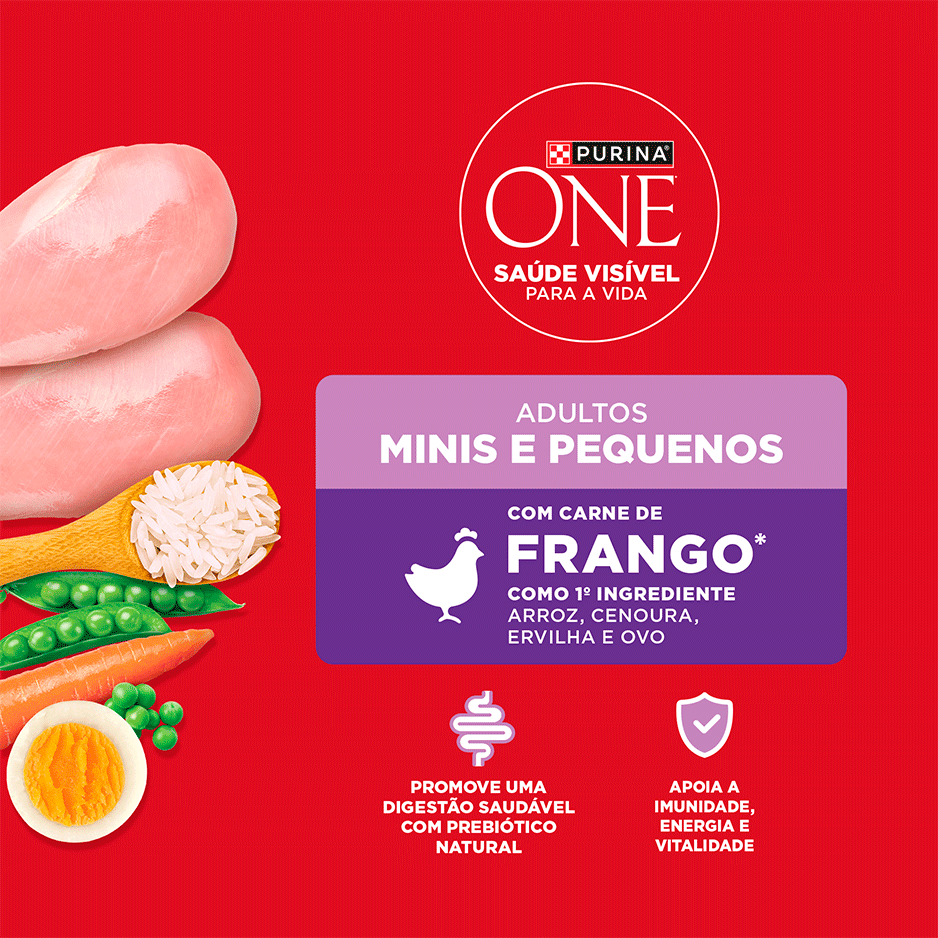 Ração Seca Purina One Microbioma Equilibrado para Cães Adultos Raças Mini e Pequena sabor Frango - 2,5Kg