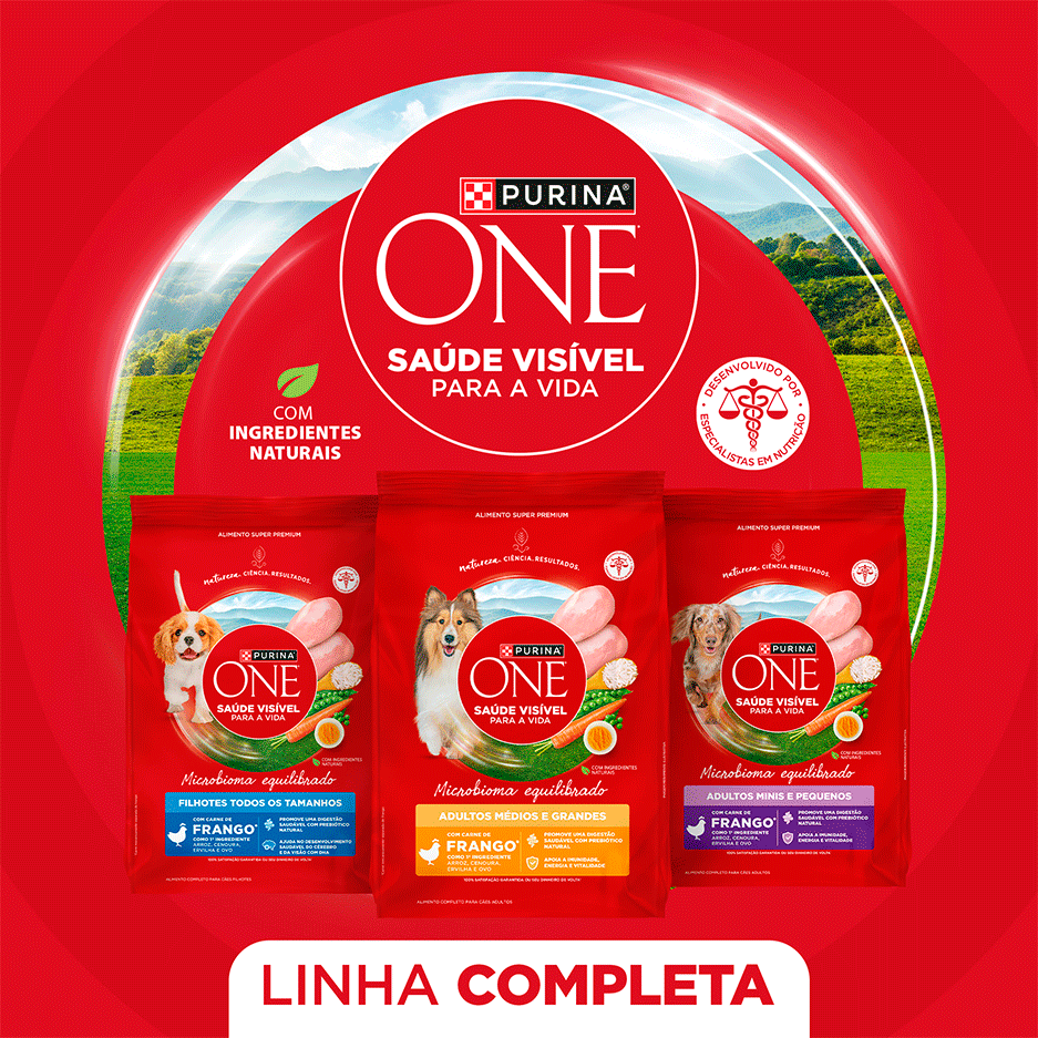 Ração Seca Purina One Microbioma Equilibrado para Cães Adultos Raças Mini e Pequena sabor Frango - 2,5Kg