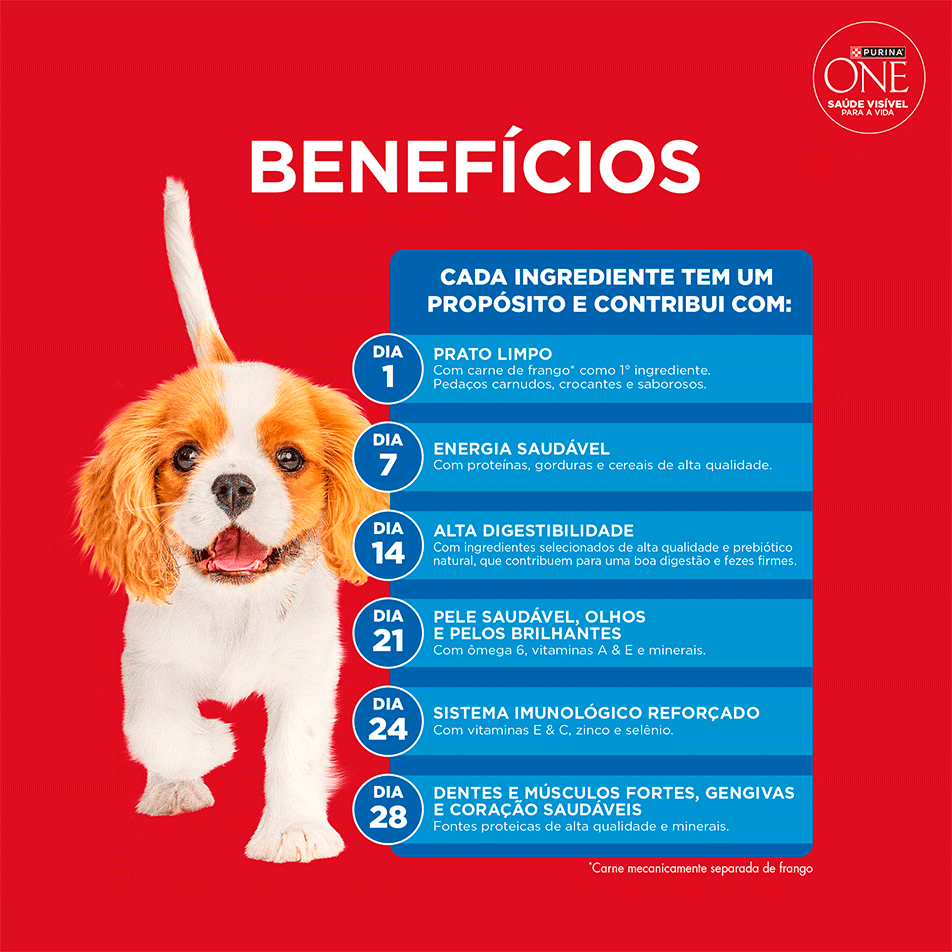 Ração Seca Purina One Microbioma Equilibrado para Cães Filhotes Todas as Raças sabor Frango - 2,5Kg
