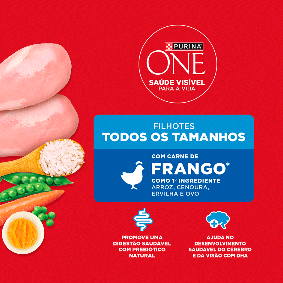 Ração Seca Purina One Microbioma Equilibrado para Cães Filhotes Todas as Raças sabor Frango - 2,5Kg