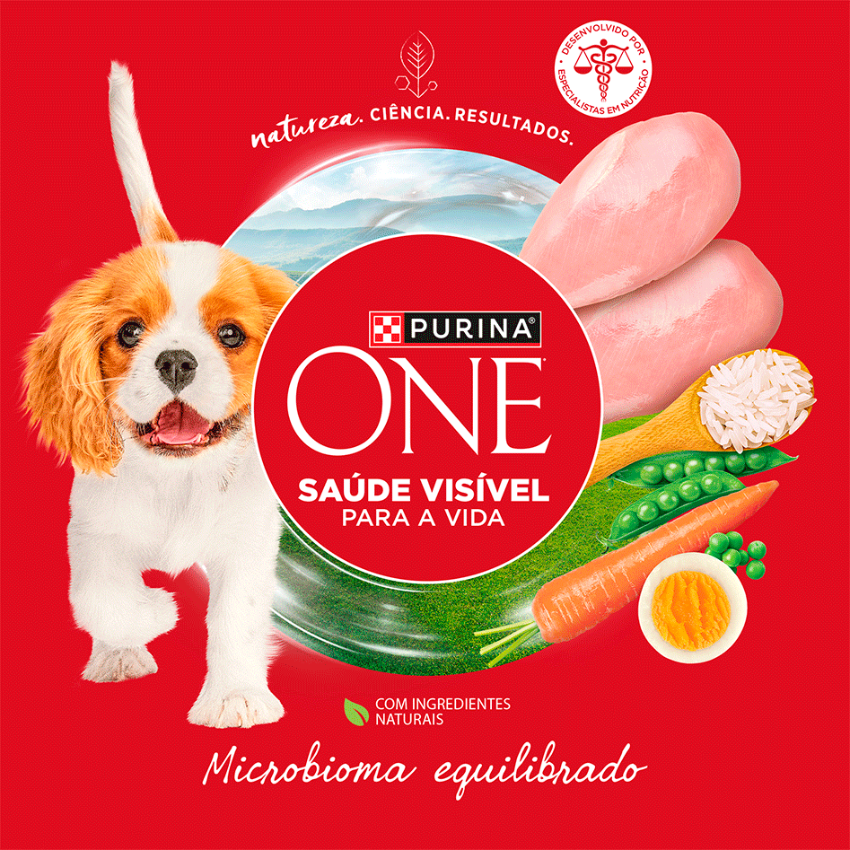 Ração Seca Purina One Microbioma Equilibrado para Cães Filhotes Todas as Raças sabor Frango - 2,5Kg