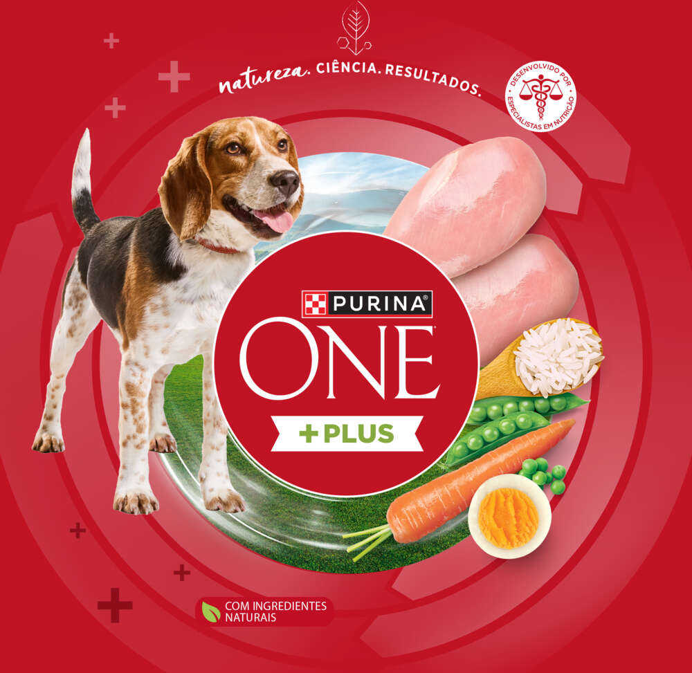 Ração Seca Purina One Plus Nutrição Proativa para Cães Adultos Todas as Raças sabor Frango - 2,5Kg