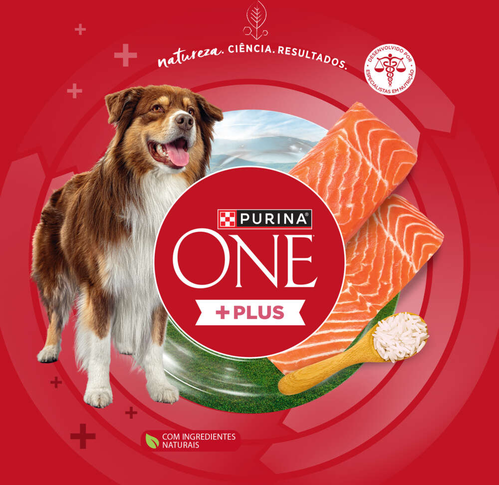 Ração Seca Purina One Plus Hipoalergênica para Cães Adultos Todas as Raças sabor Salmão - 12Kg
