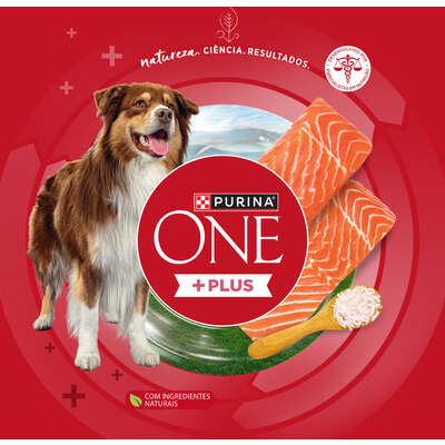 Ração Seca Purina One Plus Hipoalergênica para Cães Adultos Todas as Raças sabor Salmão
