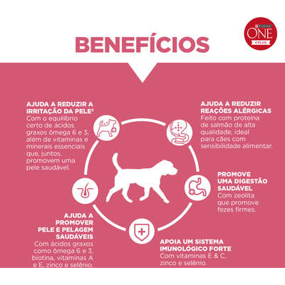 Ração Seca Purina One Plus Hipoalergênica para Cães Adultos Todas as Raças sabor Salmão
