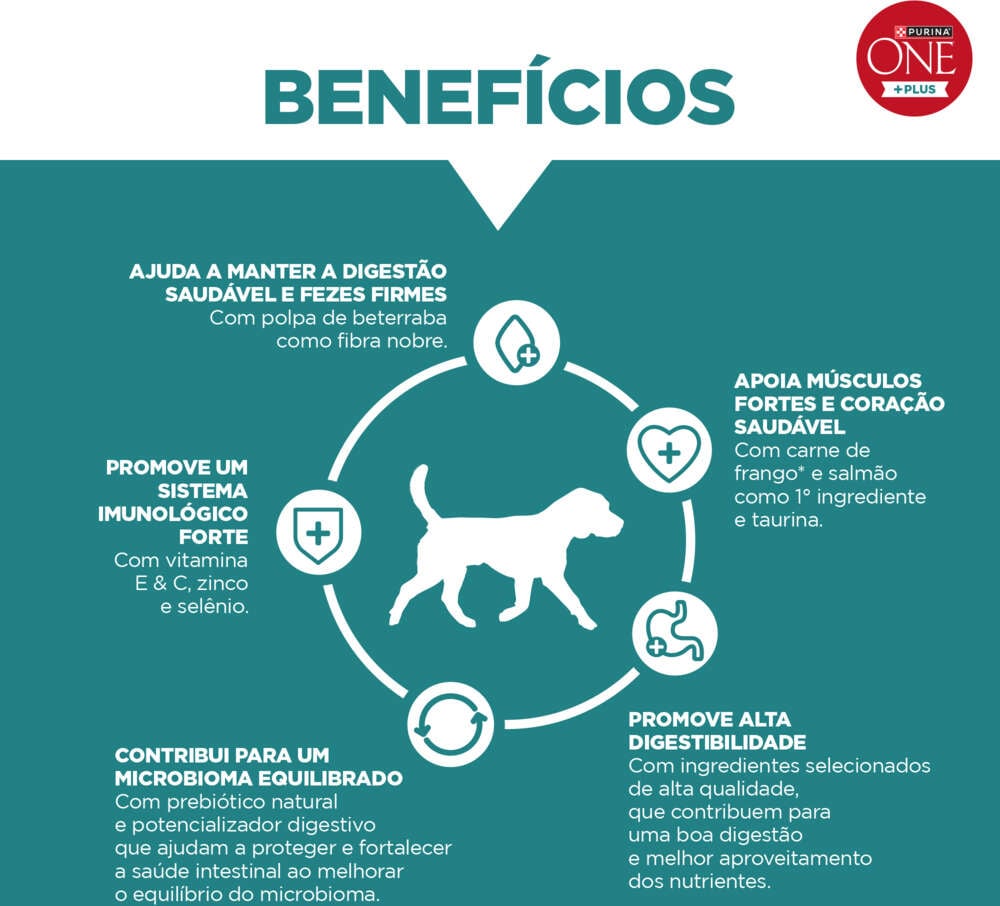 Ração Seca Purina One Plus Digestão Saudável para Cães Adultos Todas as Raças sabor Frango e Salmão - 2,5Kg