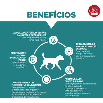 Ração Seca Purina One Plus Digestão Saudável para Cães Adultos Todas as Raças sabor Frango e Salmão