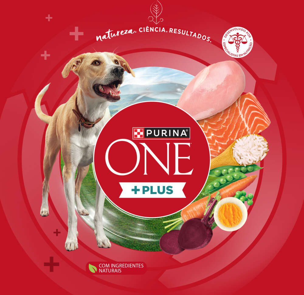 Ração Seca Purina One Plus Digestão Saudável para Cães Adultos Todas as Raças sabor Frango e Salmão - 2,5Kg