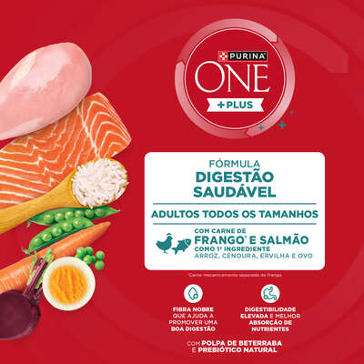 Ração Seca Purina One Plus Digestão Saudável para Cães Adultos Todas as Raças sabor Frango e Salmão