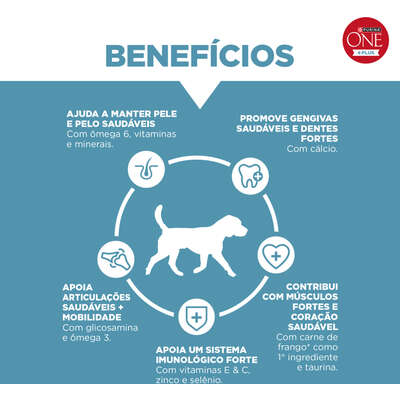 Ração Seca Purina One Plus Articulações Saudáveis para Cães Adultos Todas as Raças sabor Frango