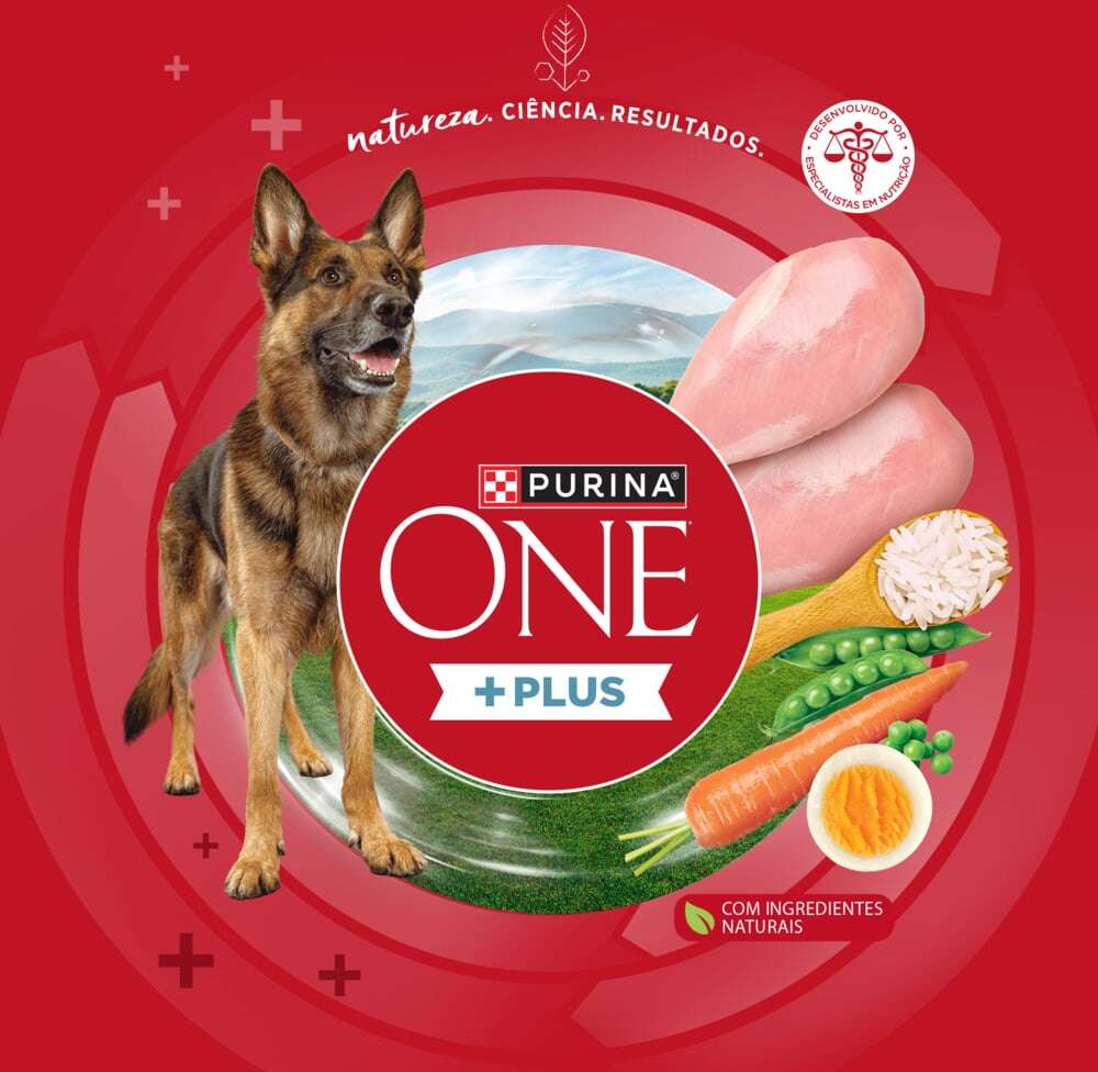 Ração Seca Purina One Plus Articulações Saudáveis para Cães Adultos Todas as Raças sabor Frango - 2,5Kg