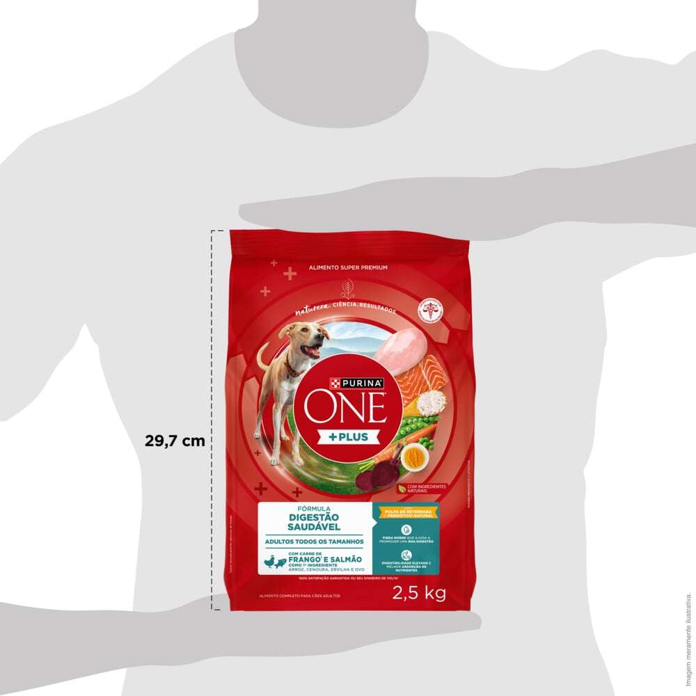 Ração Seca Purina One Plus Digestão Saudável para Cães Adultos Todas as Raças sabor Frango e Salmão - 2,5Kg