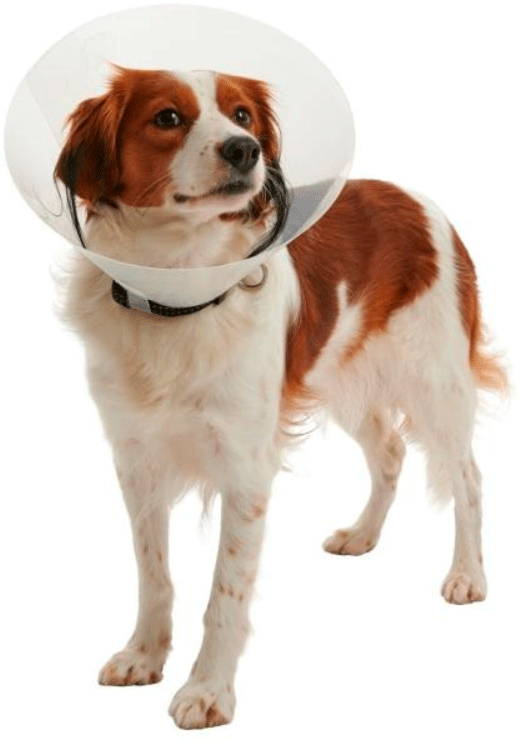 Colar Elizabetano Kruuse Buster Clic - 7,5 cm