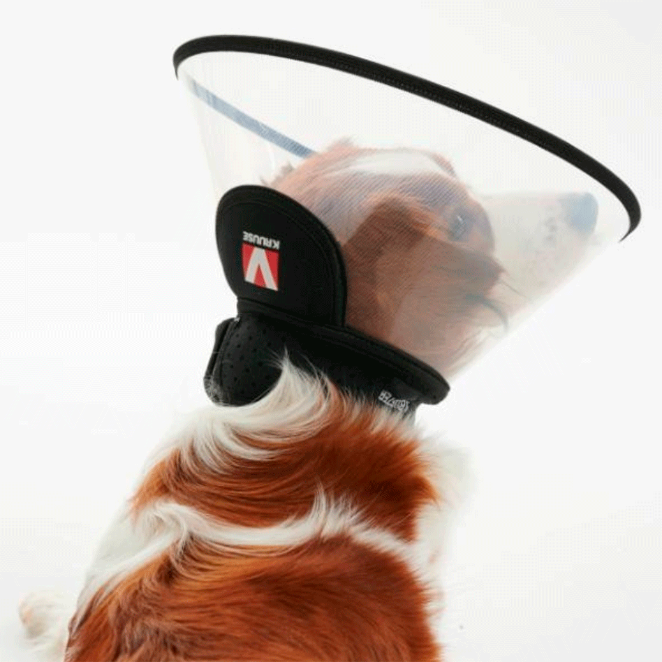 Colar Elizabetano Completo Kruuse Buster - 30 cm