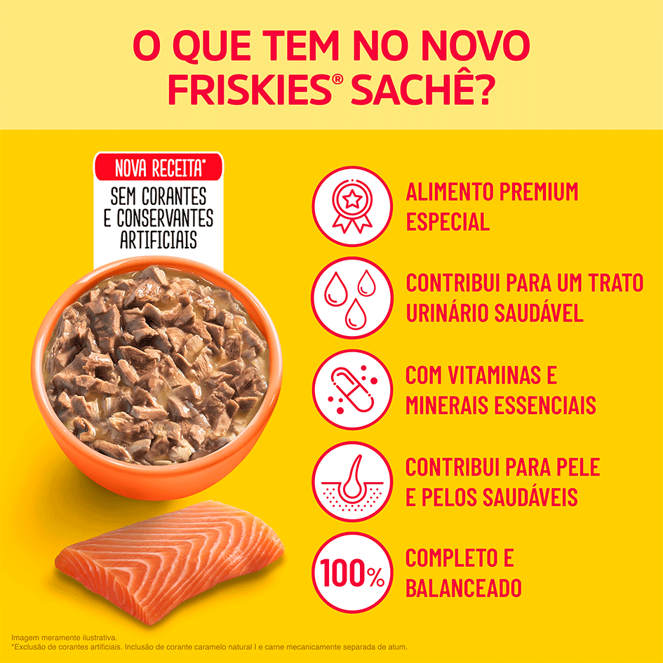 Ração Úmida Friskies para Gatos Adultos Sabor Salmão 85 g - Leve 15 Pague 12