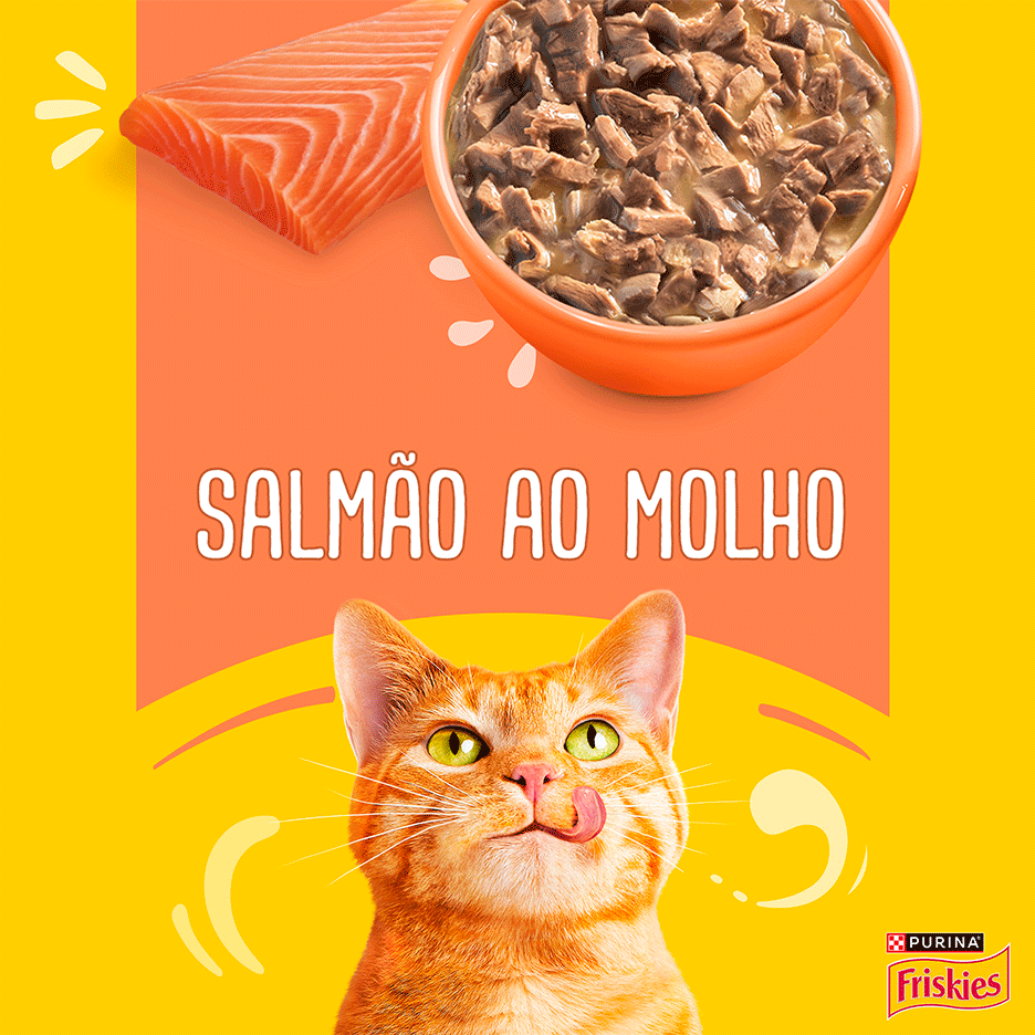 Ração Úmida Friskies para Gatos Adultos Sabor Salmão 85 g - Leve 15 Pague 12