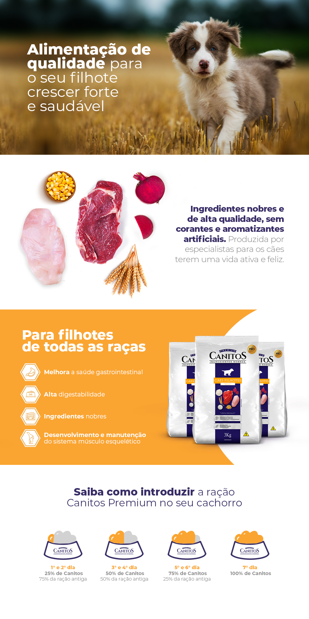 Encontre Ração Seca Canitos para Cães Filhotes com entrega para todo o Brasil na Petlove. Te ajudamos a cuidar do seu pet como ele merece!