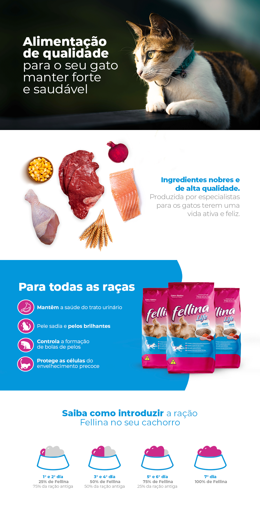 Encontre Ração Seca Fellina Life para Gatos Adultos com entrega para todo o Brasil na Petlove. Te ajudamos a cuidar do seu pet como ele merece!