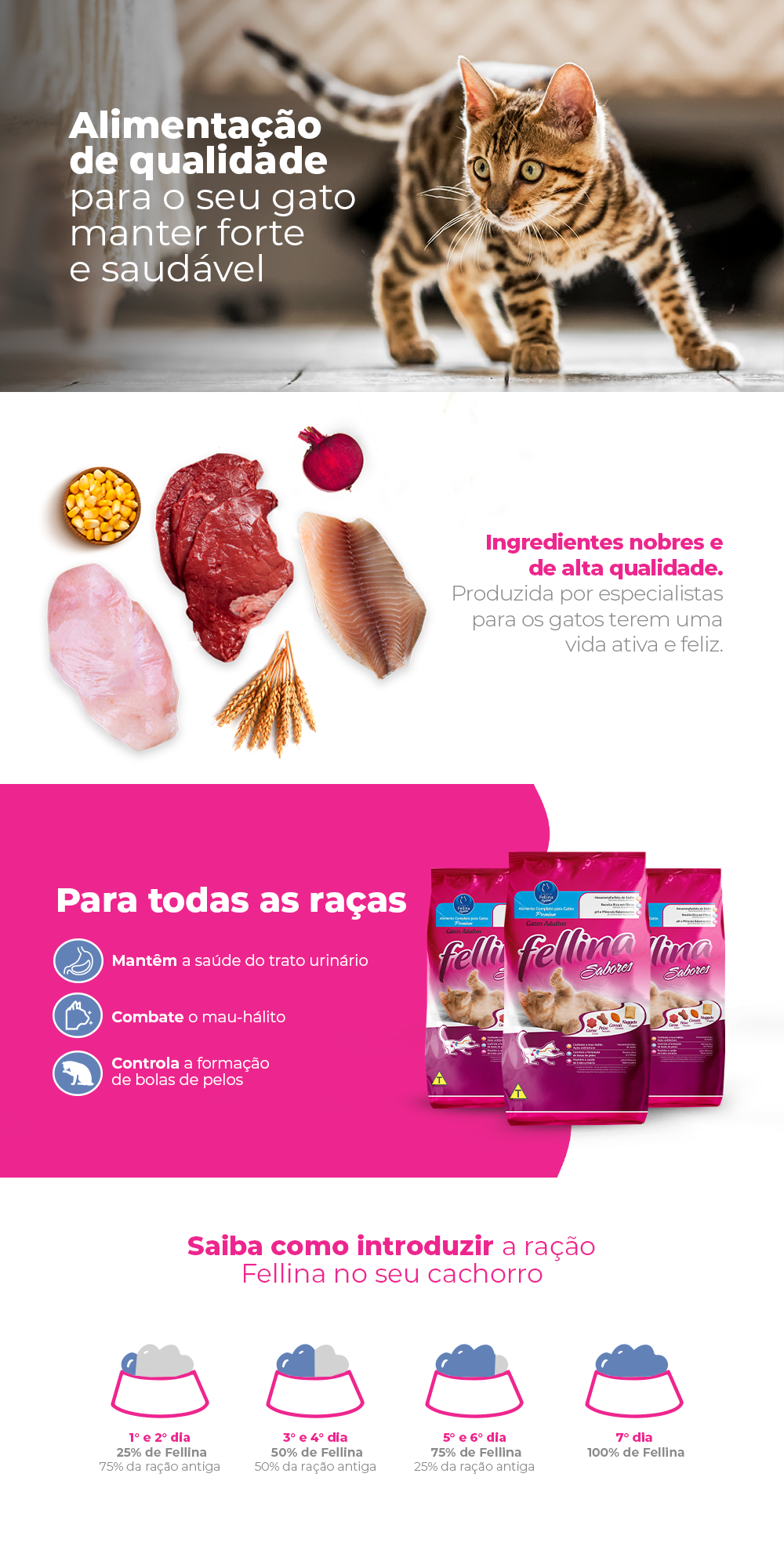 Encontre Ração Seca Fellina Sabores para Gatos Adultos com entrega para todo o Brasil na Petlove. Te ajudamos a cuidar do seu pet como ele merece!