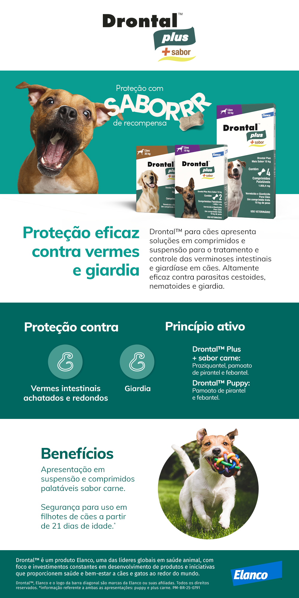 Encontre Vermífugo Elanco Drontal Plus Sabor para Carne Cães 35 Kg com entrega para todo o Brasil na Petlove. Te ajudamos a cuidar do seu pet como ele merece!